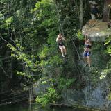 Xenotes