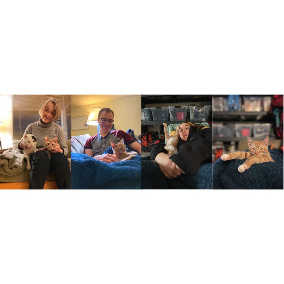 Introduction of Archibald 'El Pequeno' the First (1/6/23)