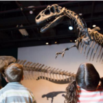 Science Museum of Minnesota