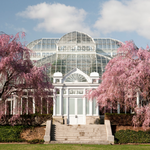 Bronx Botanical Garden