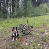 Mountain Biking