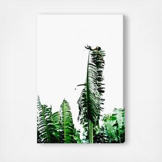 Cassandra Eldridge - Beverly Hills Palm Leaves Canvas Art