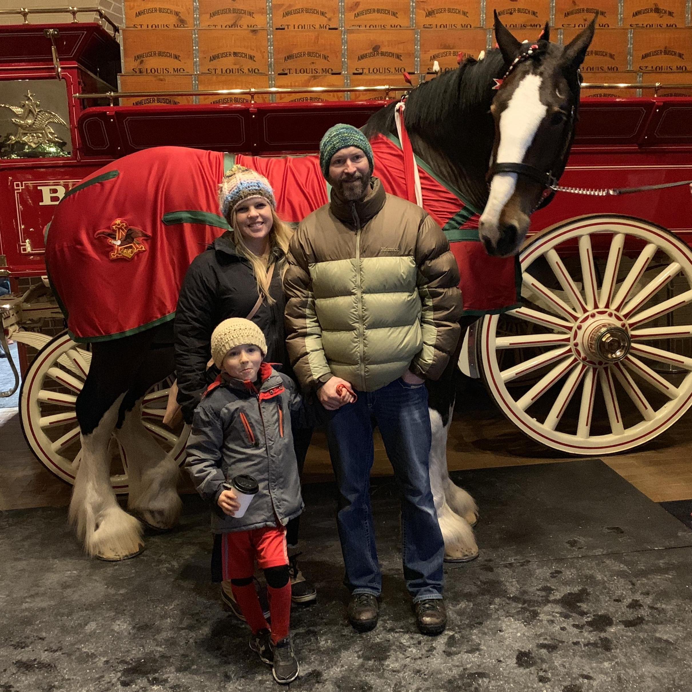 Visiting the clydesdales at the Anheuser Busch in New Hampshire.