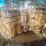 Florissant Fossil Beds National Monument