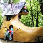 Enchanted Forest