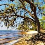 Goose Creek State Park