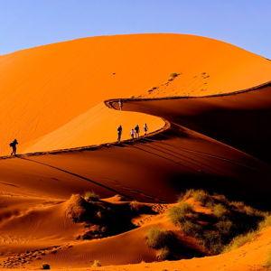 Namib Desert Dunes Excursion
