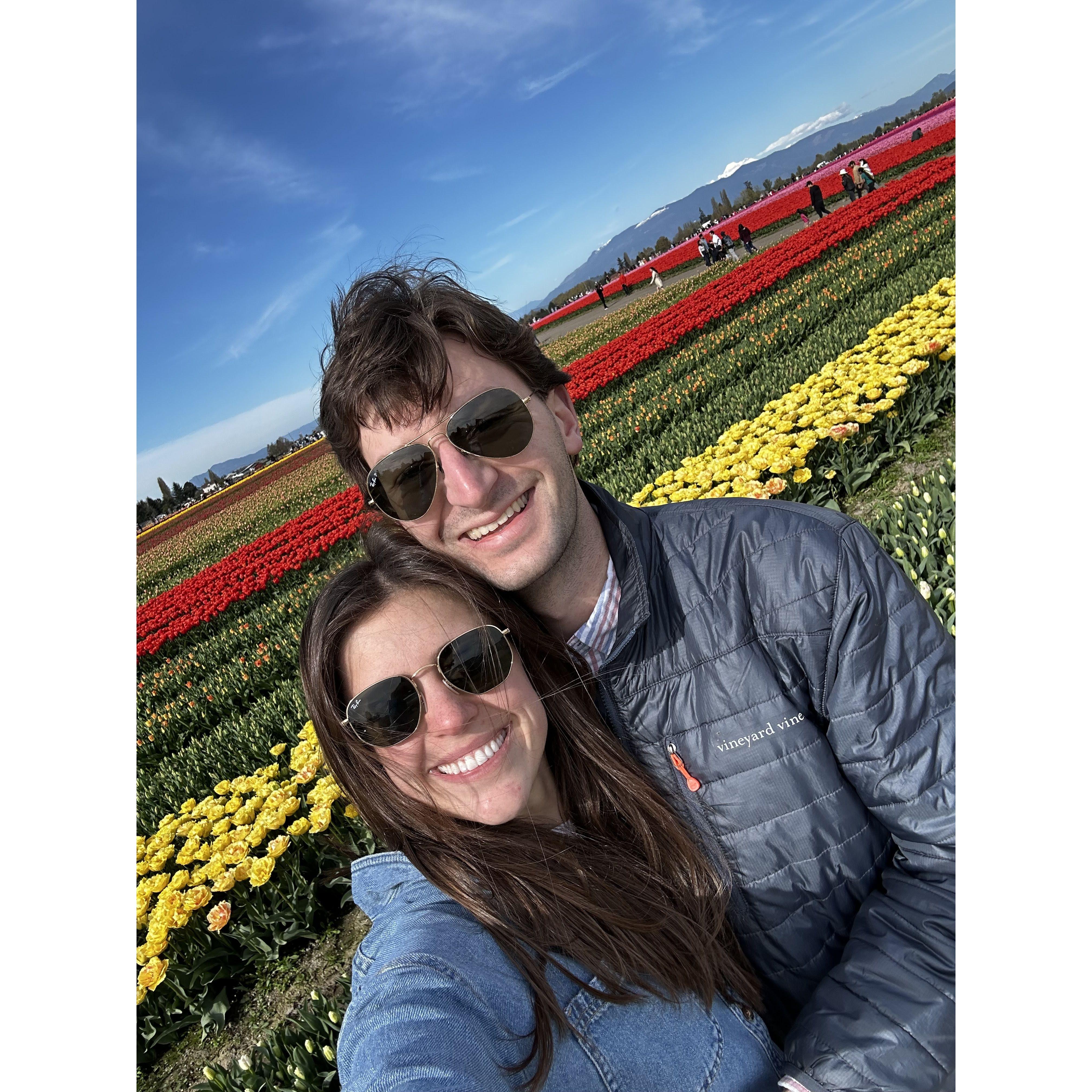 Skagit Valley Tulip Festival