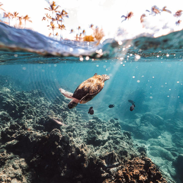 Snorkeling Day Trip On Our Honeymoon