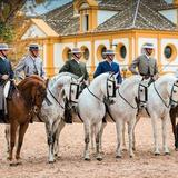 Royal Andalusian School of Equestrian Art
