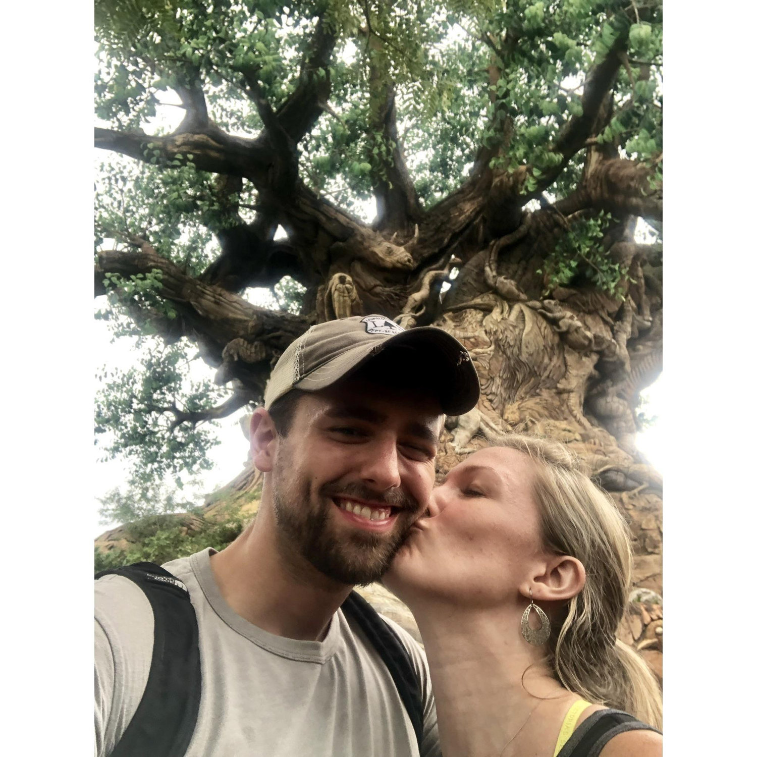 The Tree of Life in Animal Kingdom!