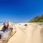 Lincoln City