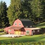 Dancing Fish Vineyards