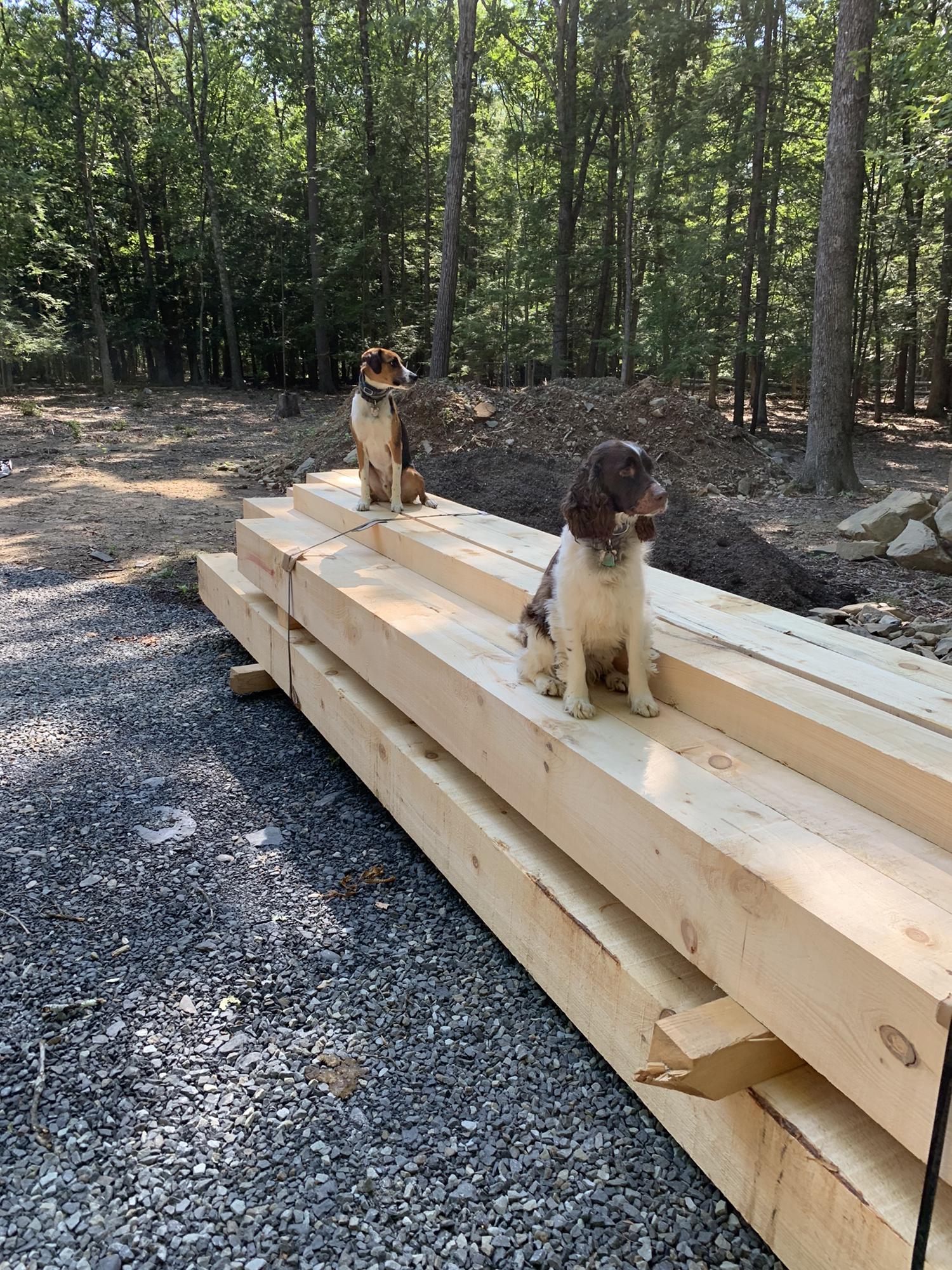Sizing up the timbers!
