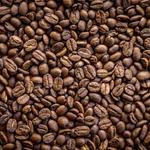 Coffee Tour Medellín