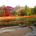 The Morton Arboretum