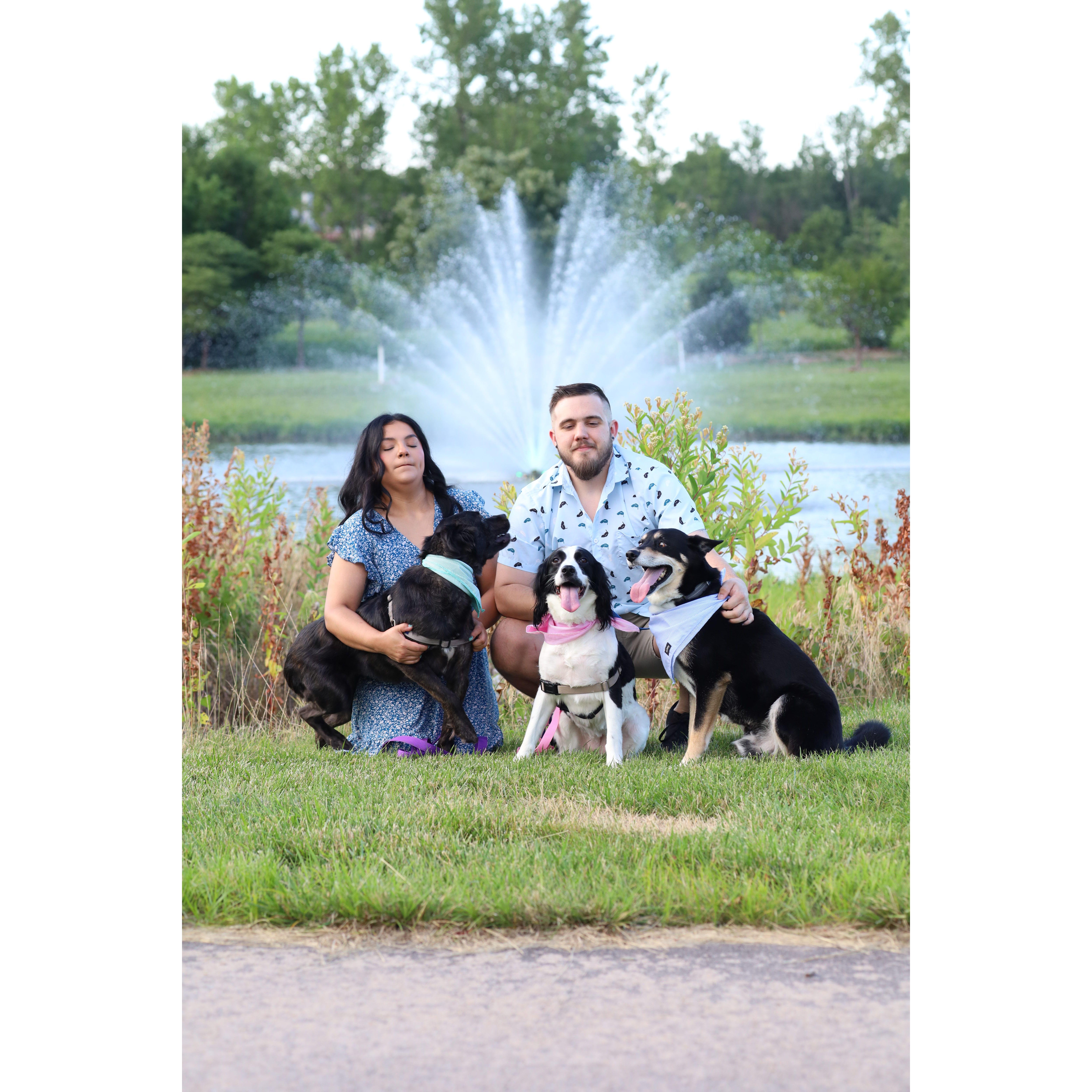 I promise we have good dogs. Photo: Hayden 2024