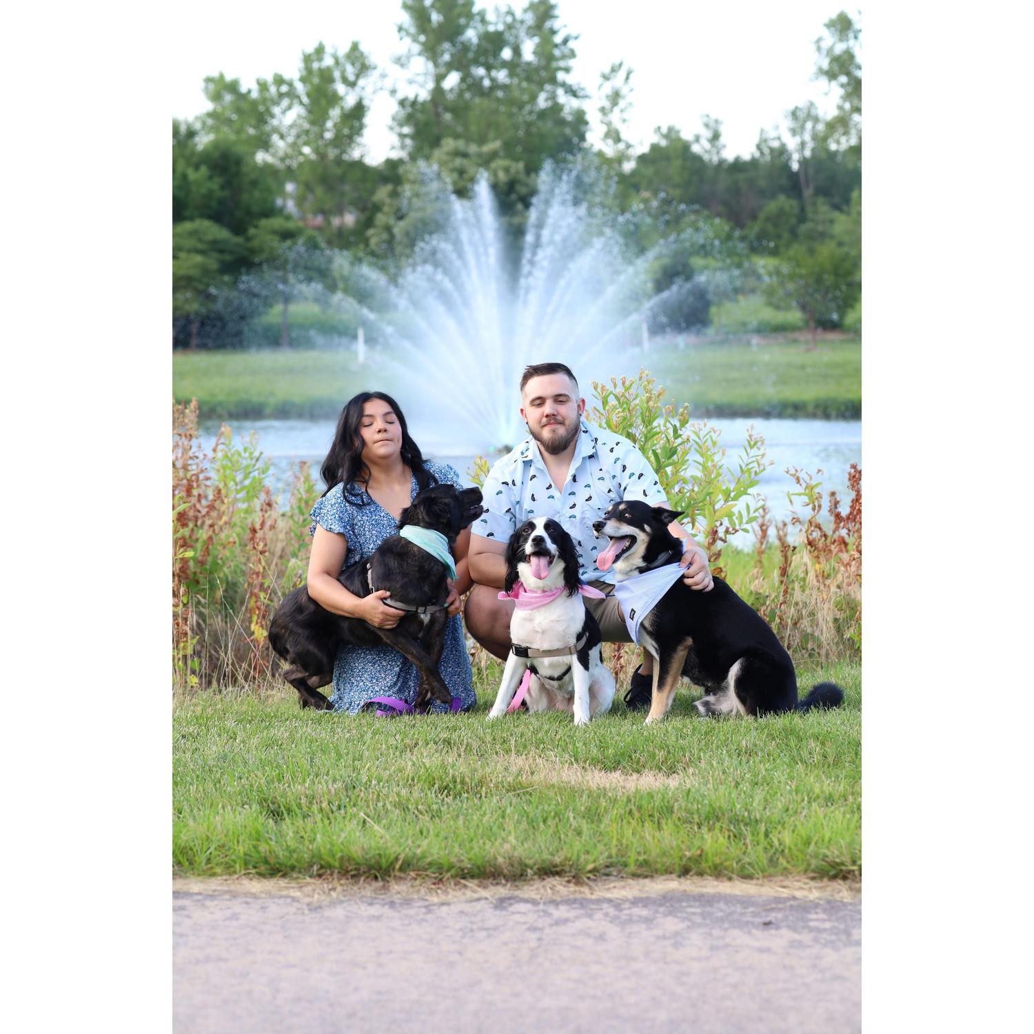 I promise we have good dogs. Photo: Hayden 2024