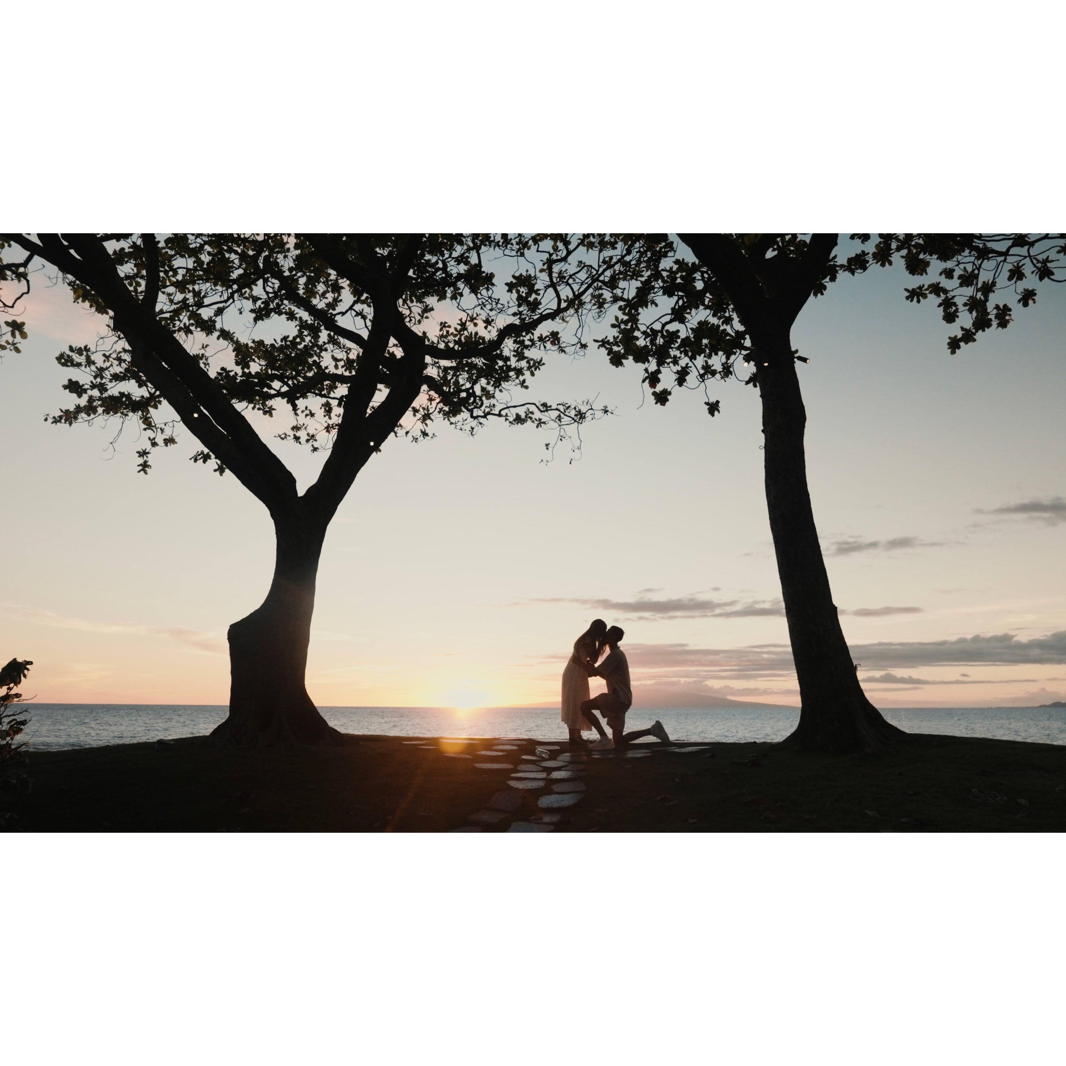 snap of the proposal