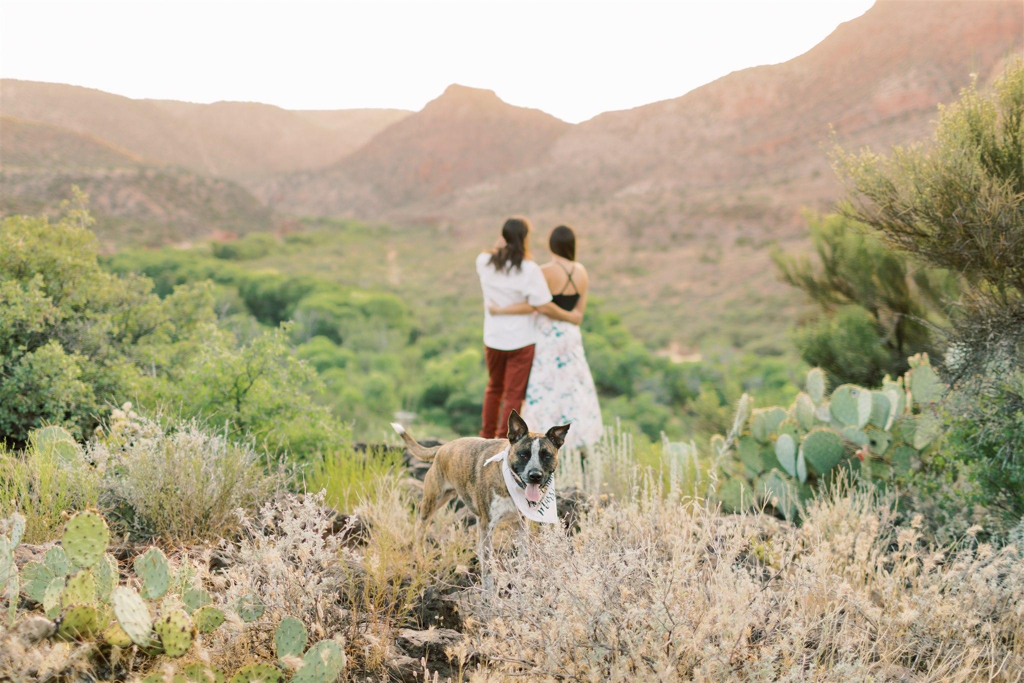 The Wedding Website of Nicole Noblitt and Taylor Kite