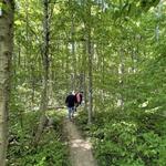 Loree Forest Trail