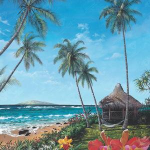 Honeymoon in Hawaii 🌺