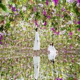 teamLab Planets TOKYO DMM