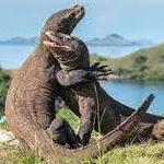 Komodo National Park