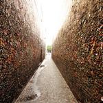 Bubblegum Alley