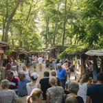 Open Air Market: Liliomkert piac
