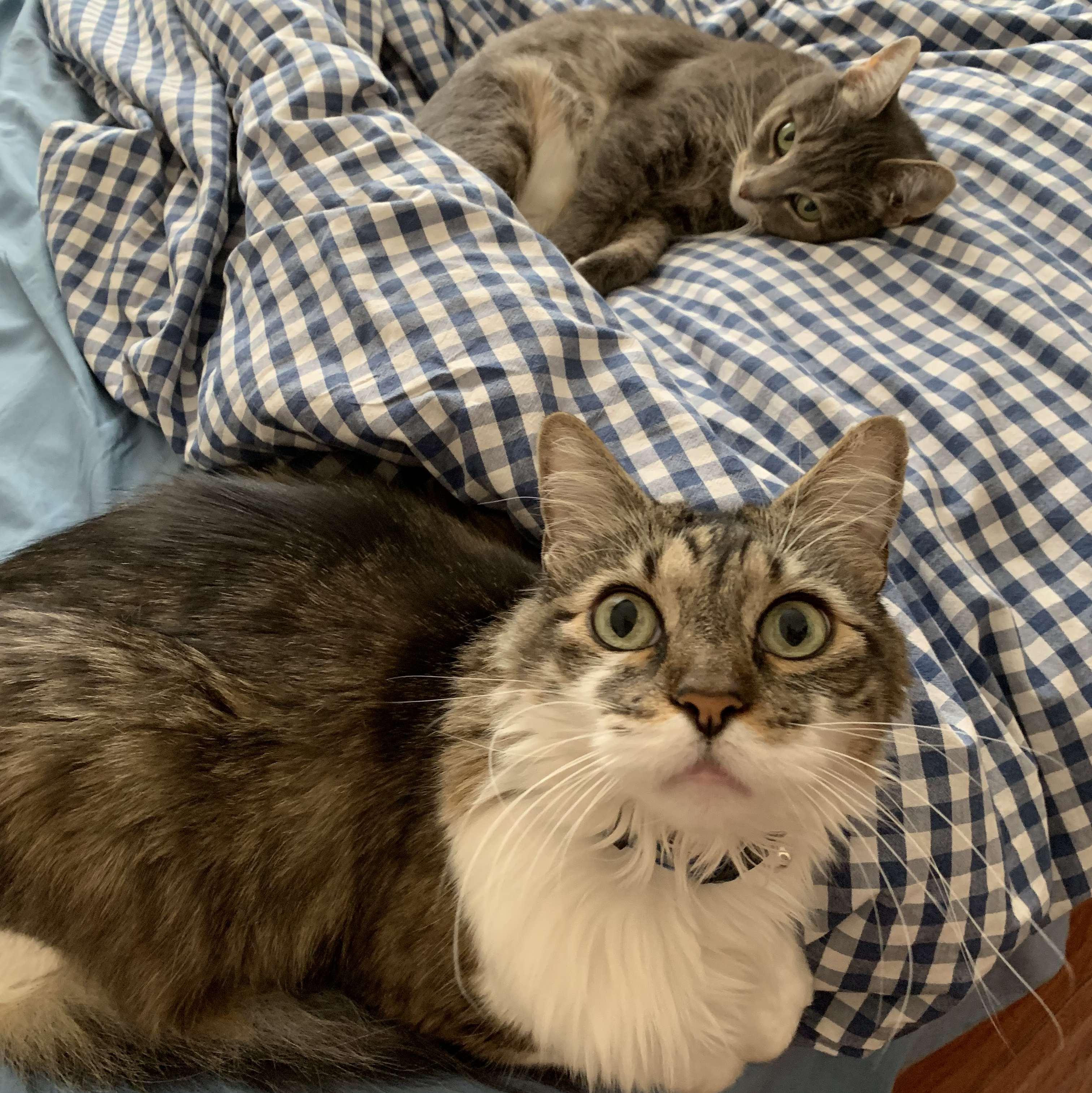 Look at these goofs.