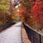 Swamp Rabbit Trail