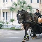Savannah Carriage Tours