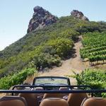 Malibu Wine Safaris