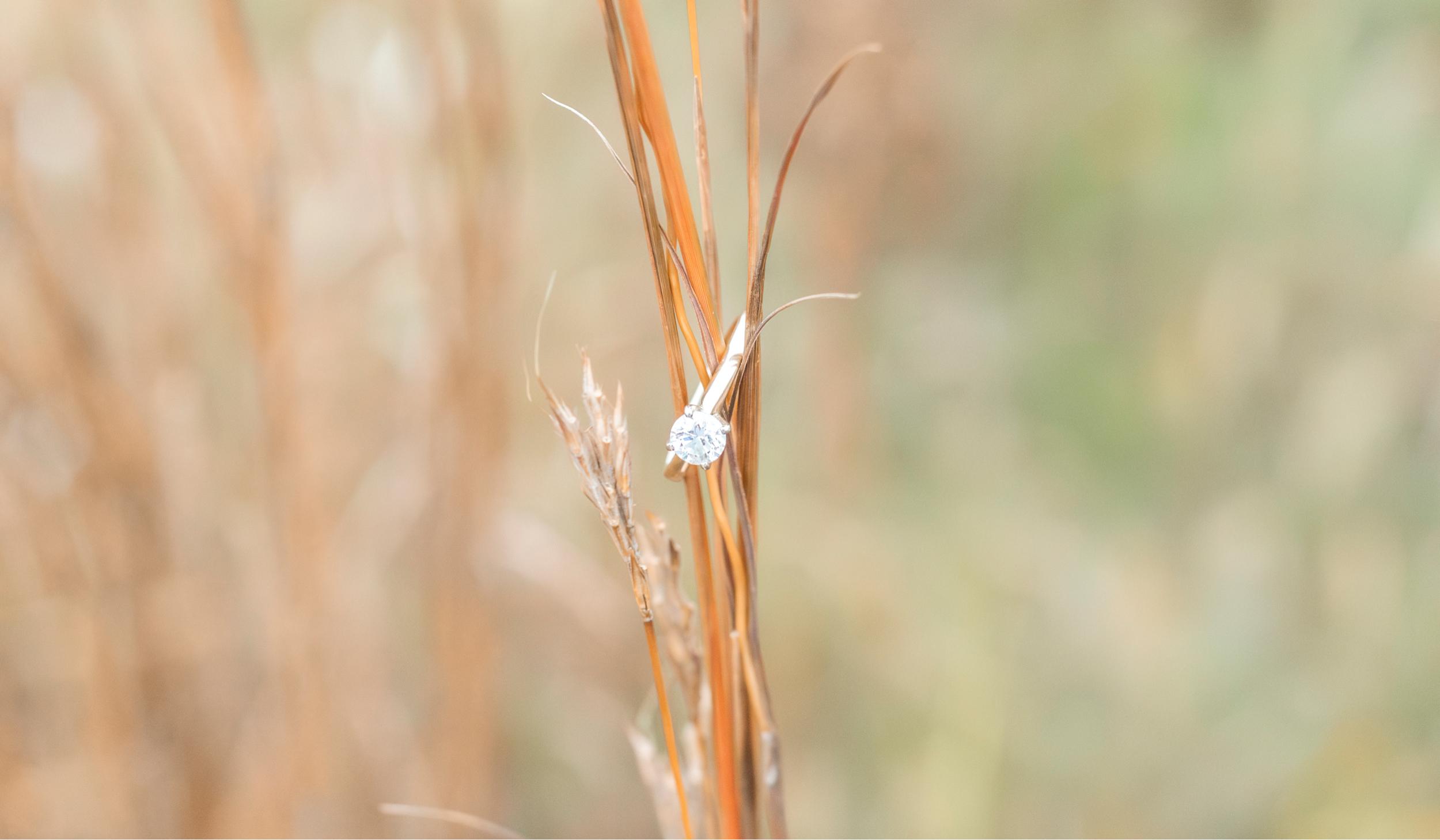 b66baa8a-1b46-493c-a406-c1673d75cc6b