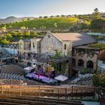 Mountain Winery