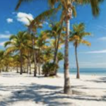 Crandon Park