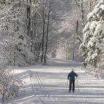 Vast Trail