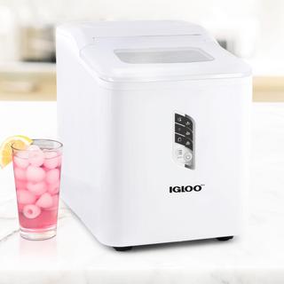 Automatic Self-Cleaning Ice Maker