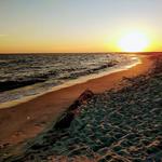 Dauphin Island Park & Beach Board