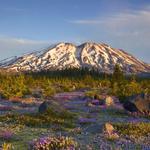 Mount Saint Helens