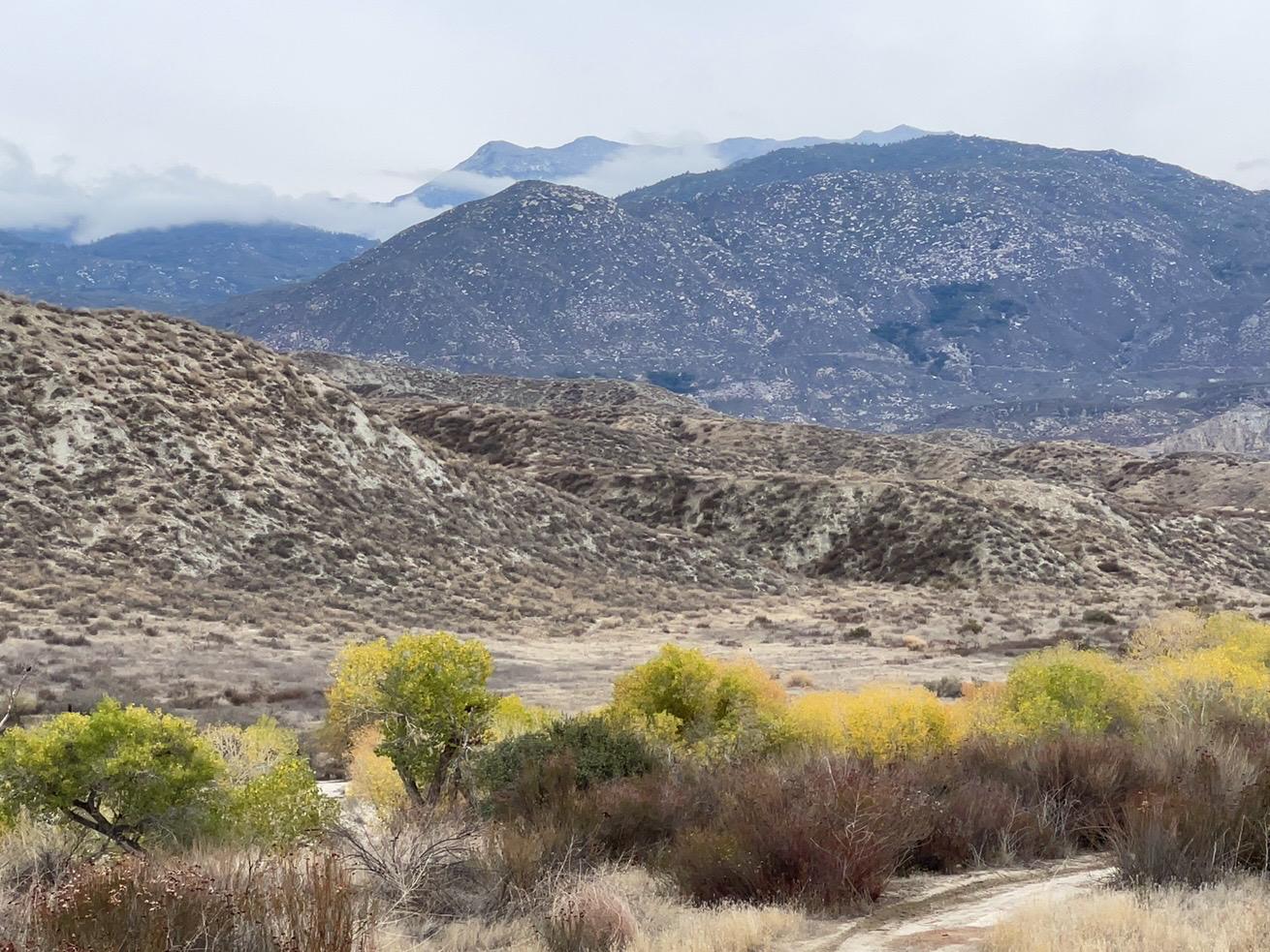 The Wedding Website of Wendy Woolsey and Branden Wylie