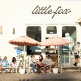 Little Fox Cups + Cones