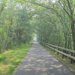 Cape Cod Rail Trails