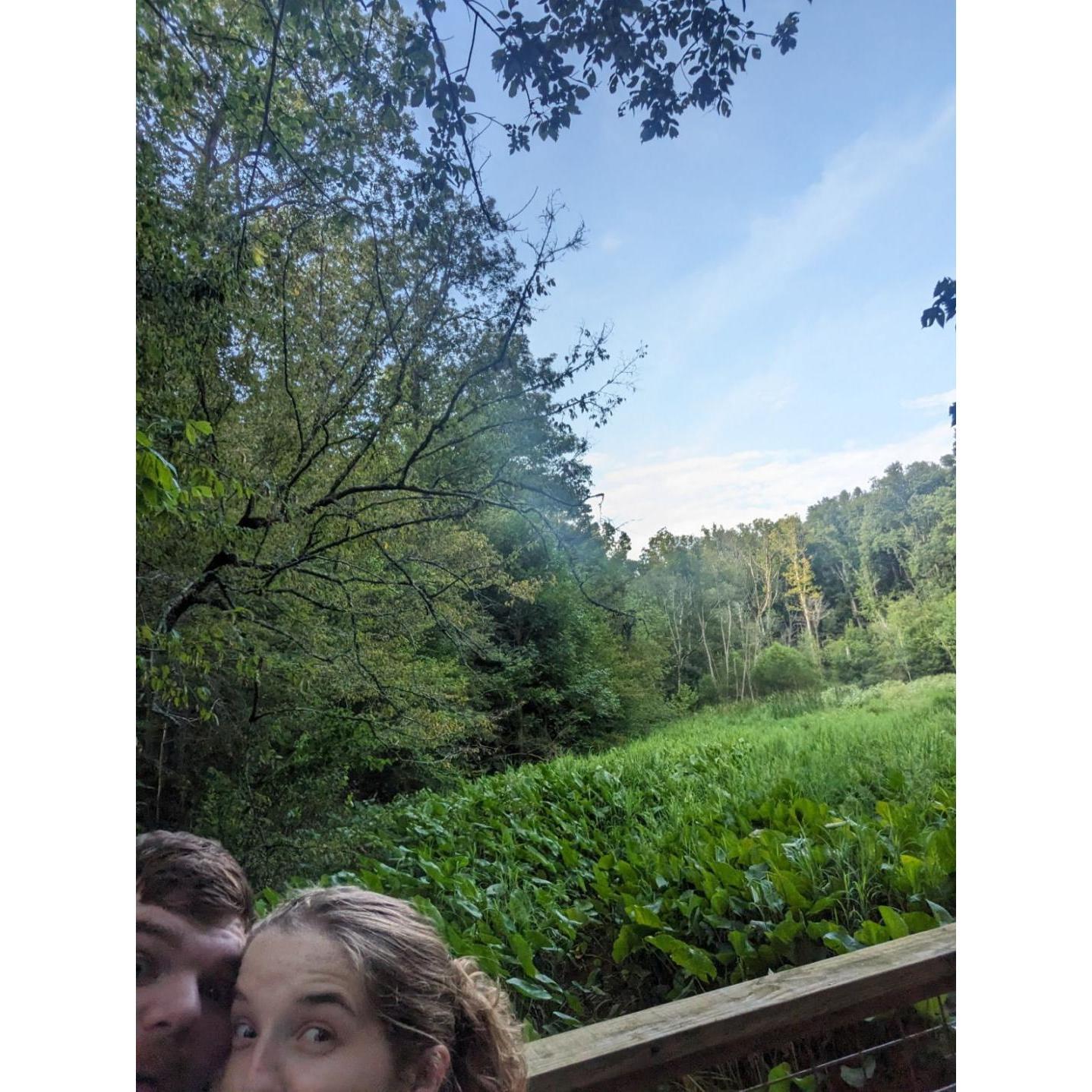 We are a little strange but look at the little marsh! You should go visit in the summer.
