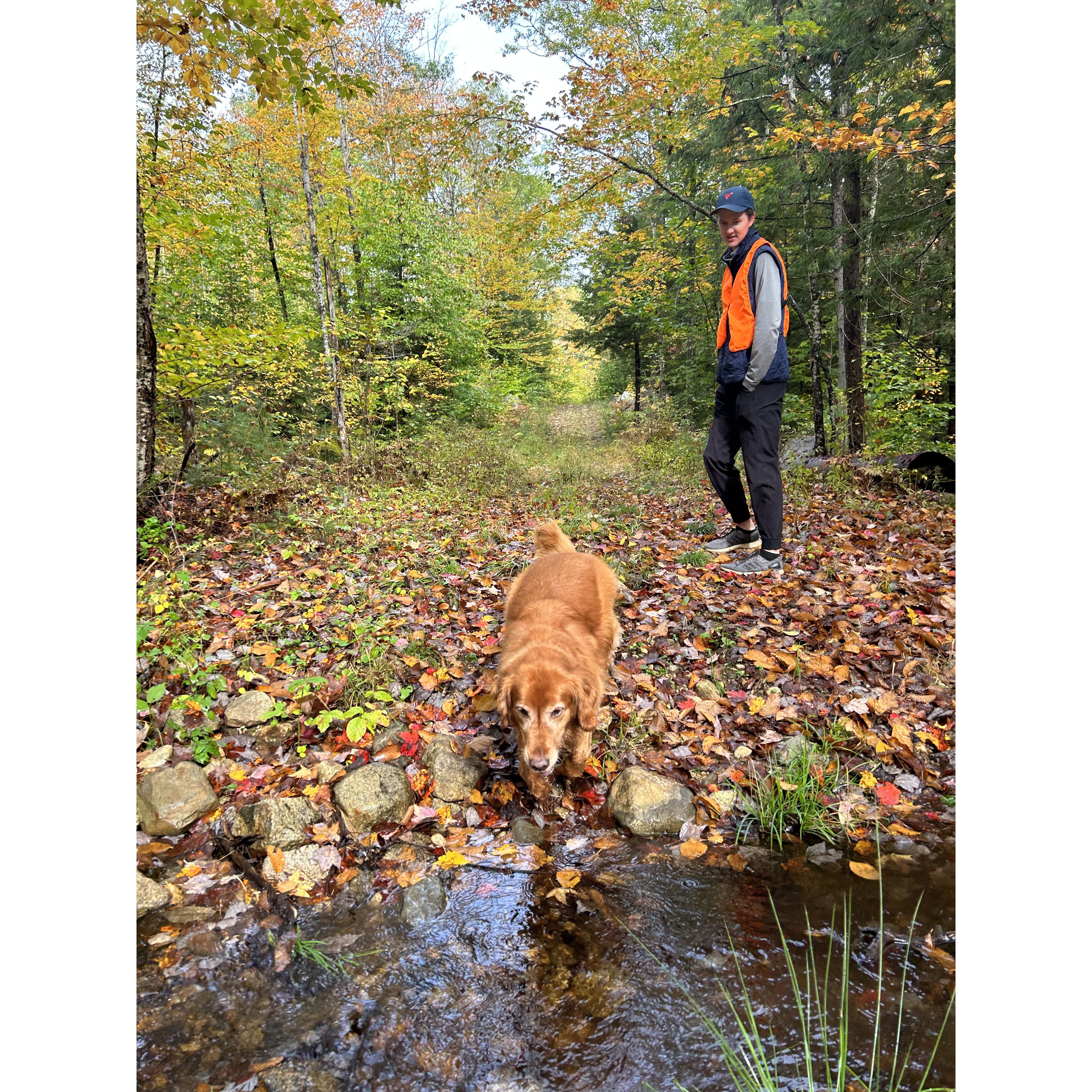 Fall walks with Benny in Maine