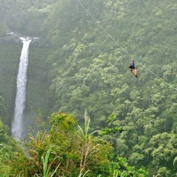 Zipline Tour on our Honeymoon