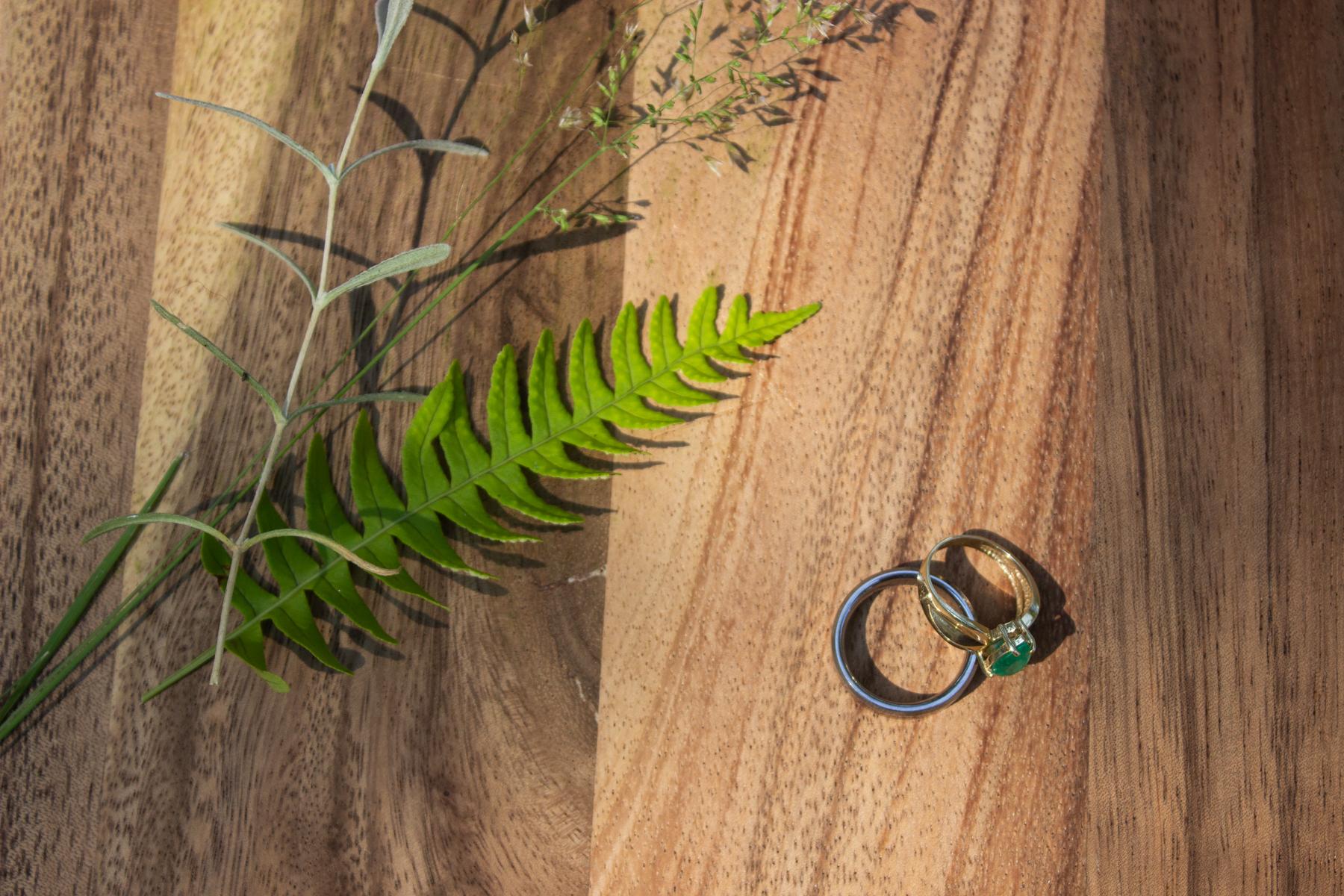 The Wedding Website of Amanda Jeane Reichert and Bradlee Davison Strode