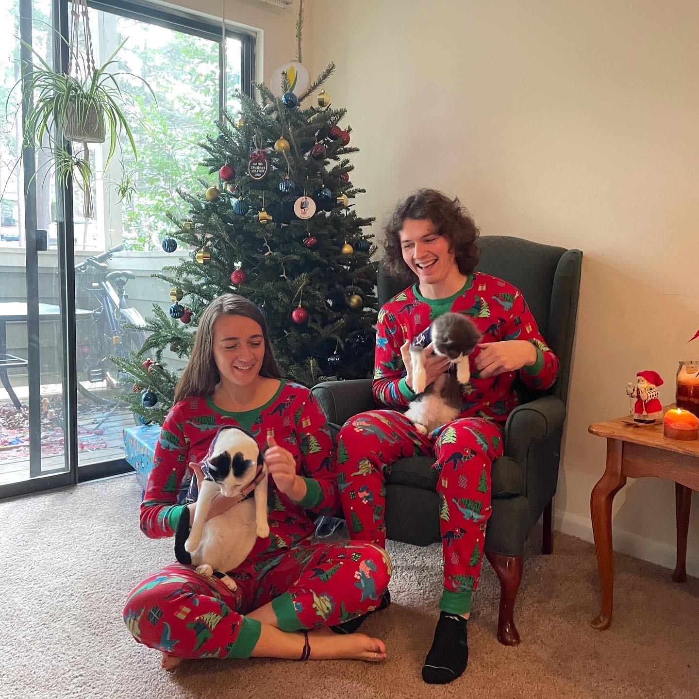 Our first holiday photos with the cats