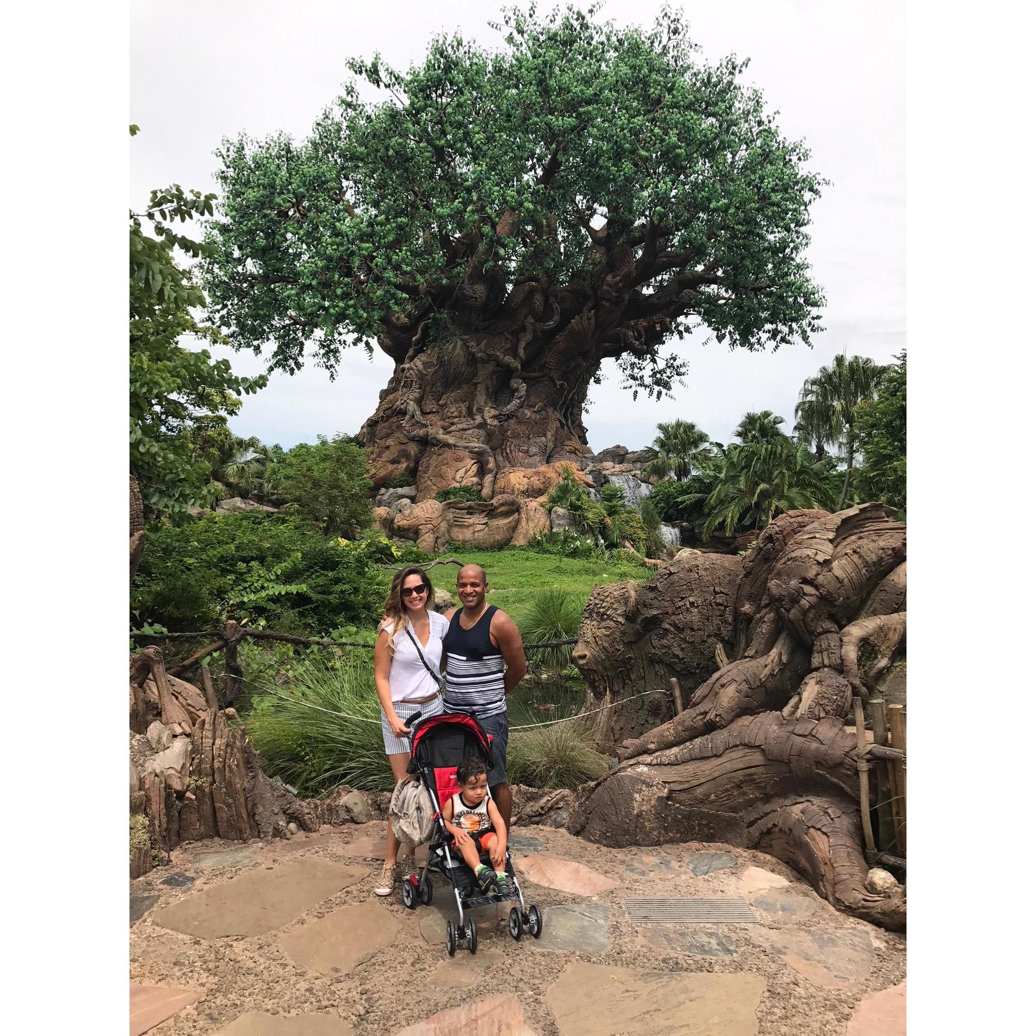 Our first time in Disney.
Nossa primeira vez na Disney.
Nuestro primer viaje de Familia a Disney